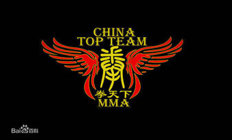 China Top Team