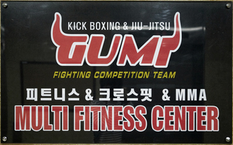 Gumi MMA Okgye