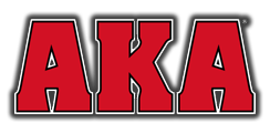 American Kickboxing Academy