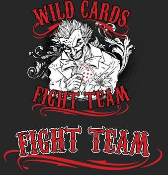 Wild Cards Fight Team