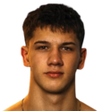 Aldin Pitarevic