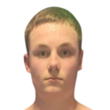 Harry Davies