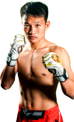 Qinghe Zhang