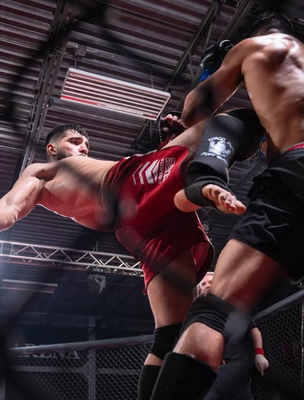 Ali Forough | MMA Fighter Page | Tapology