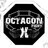 Octagon Fight