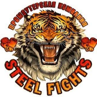 Steel Fights