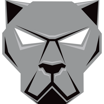 Panterita Promotions PP | Boxing Promoter | Tapology