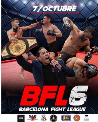 BFL 6