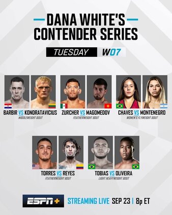Contender Series 2025