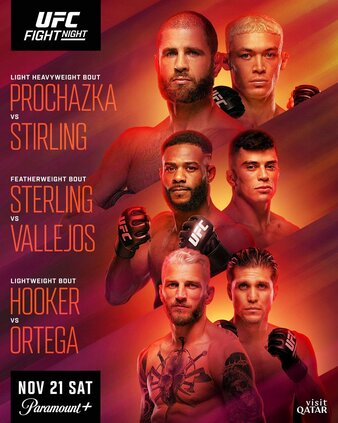 UFC Fight Night: Procházka vs. Stirling poster
