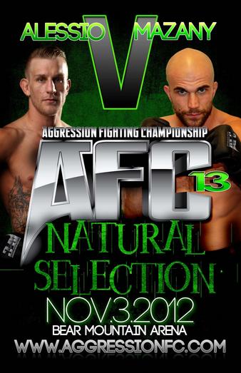 AFC 13