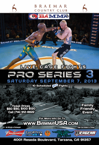 BAMMA Pro Series 3