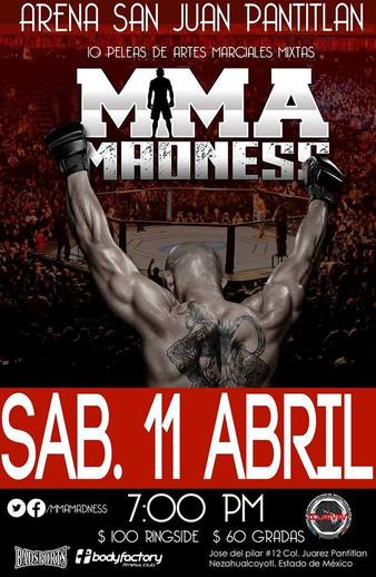 MMA Madness 4