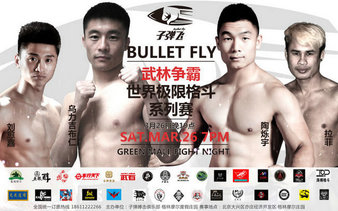 Bullet Fly FC 4