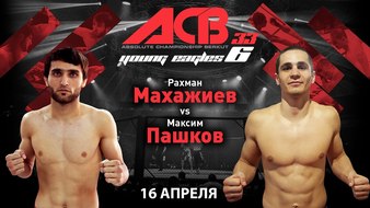 Absolute Championship Berkut 33