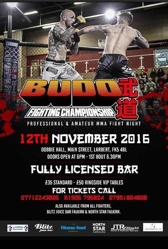 Budo Fighting Championships 17