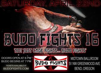 Budofights 16