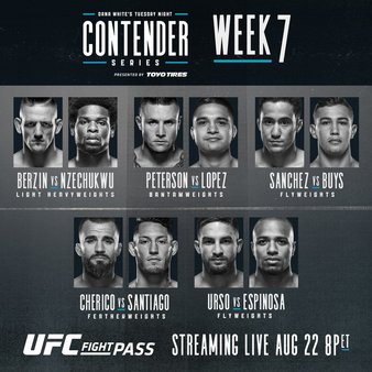 DW's Contender Series 2017