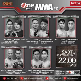 One Pride MMA Fight 12