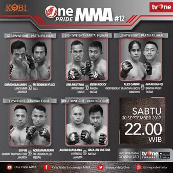 One Pride MMA Fight 12