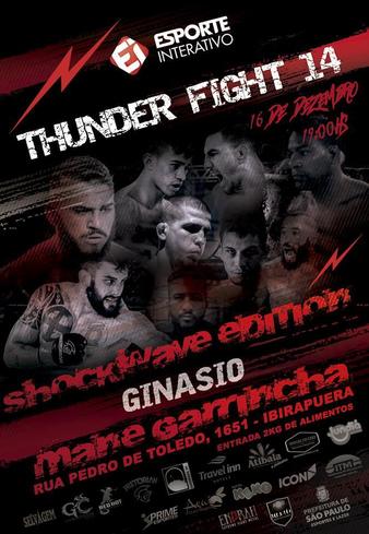 Thunder Fight 14