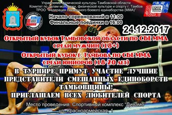 Tambov Open Cup 2017