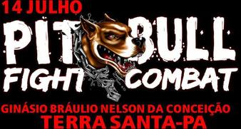 Pitbull Fight Combat 2