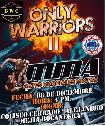 Only Warriors 2