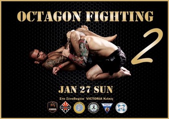 Octagon Fighting 2