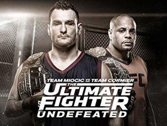 The Ultimate Fighter Season 27