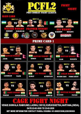 Pro Combat Fight League