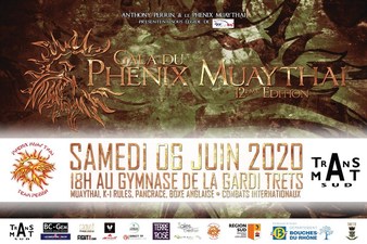 Gala du Phenix 12 (cancelled)