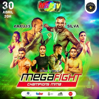 Mega Fight Champions 3