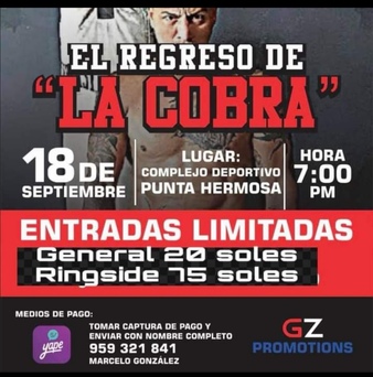 El Regreso de Cobra