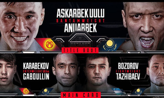 Octagon 24