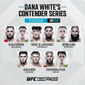 Contender Series 2022