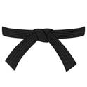 Black Belt Bets