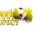 MMA Experts