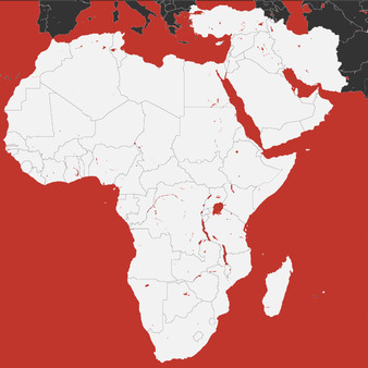 Middle East & Africa